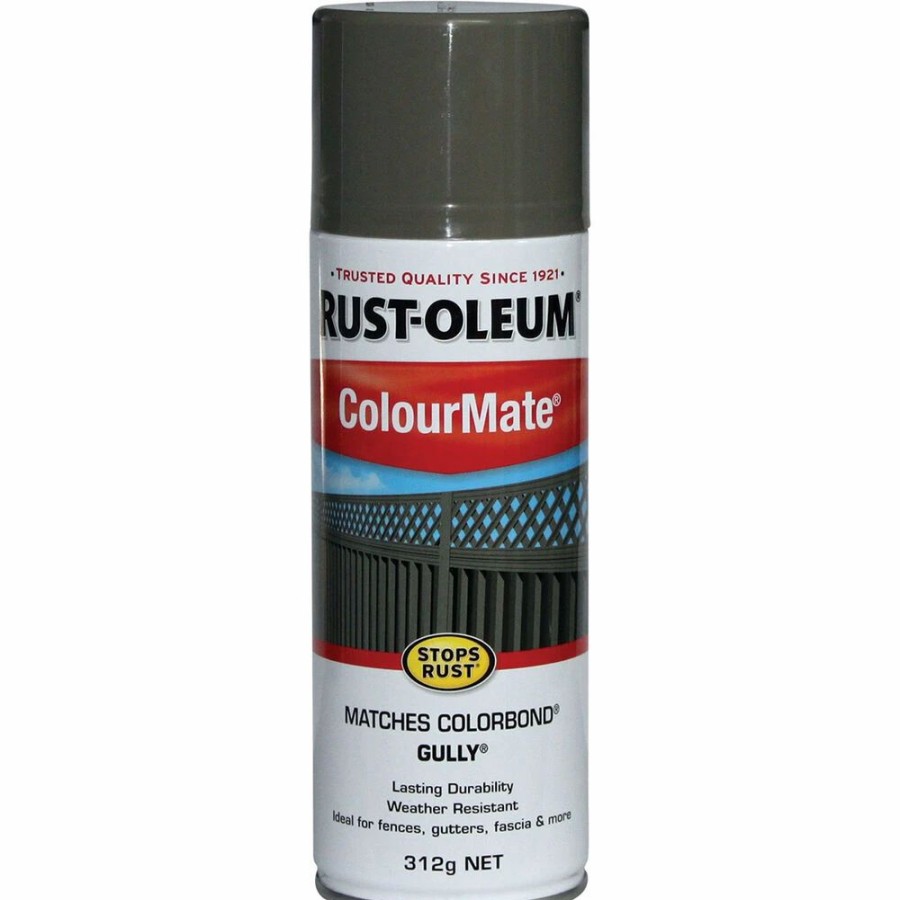 Automotive & Specialty Paints * | Rust-Oleum Aerosol Paint Colourmate, Gully 312G